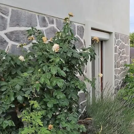 Grand Studio Avec Jardin Et Entree Privative A Noter Reservations De 3 Nuits Minimum Clermont-Ferrand Exterior photo
