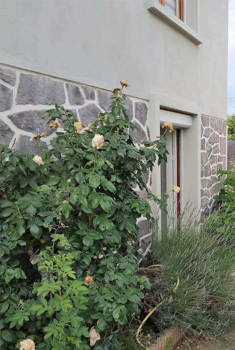 Appartement Grand Avec Jardin Et Entree Privative A Noter Reservations De 3 Nuits Minimum Clermont-Ferrand